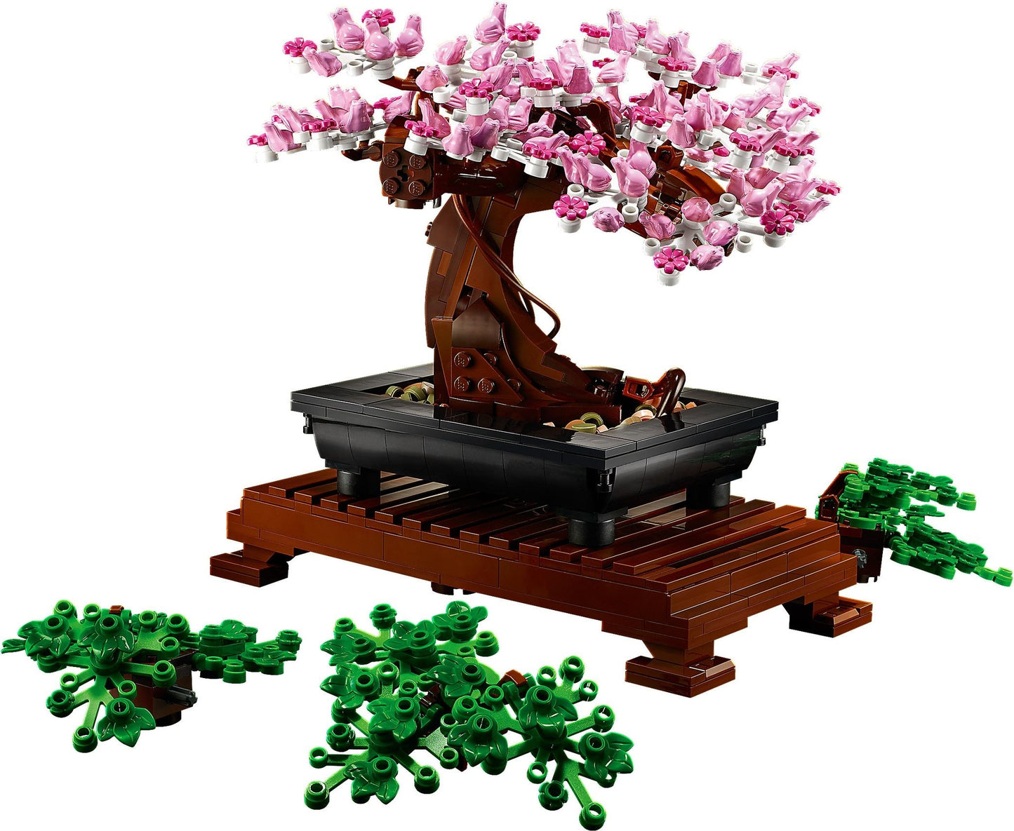 Bonsai Tree - 10281