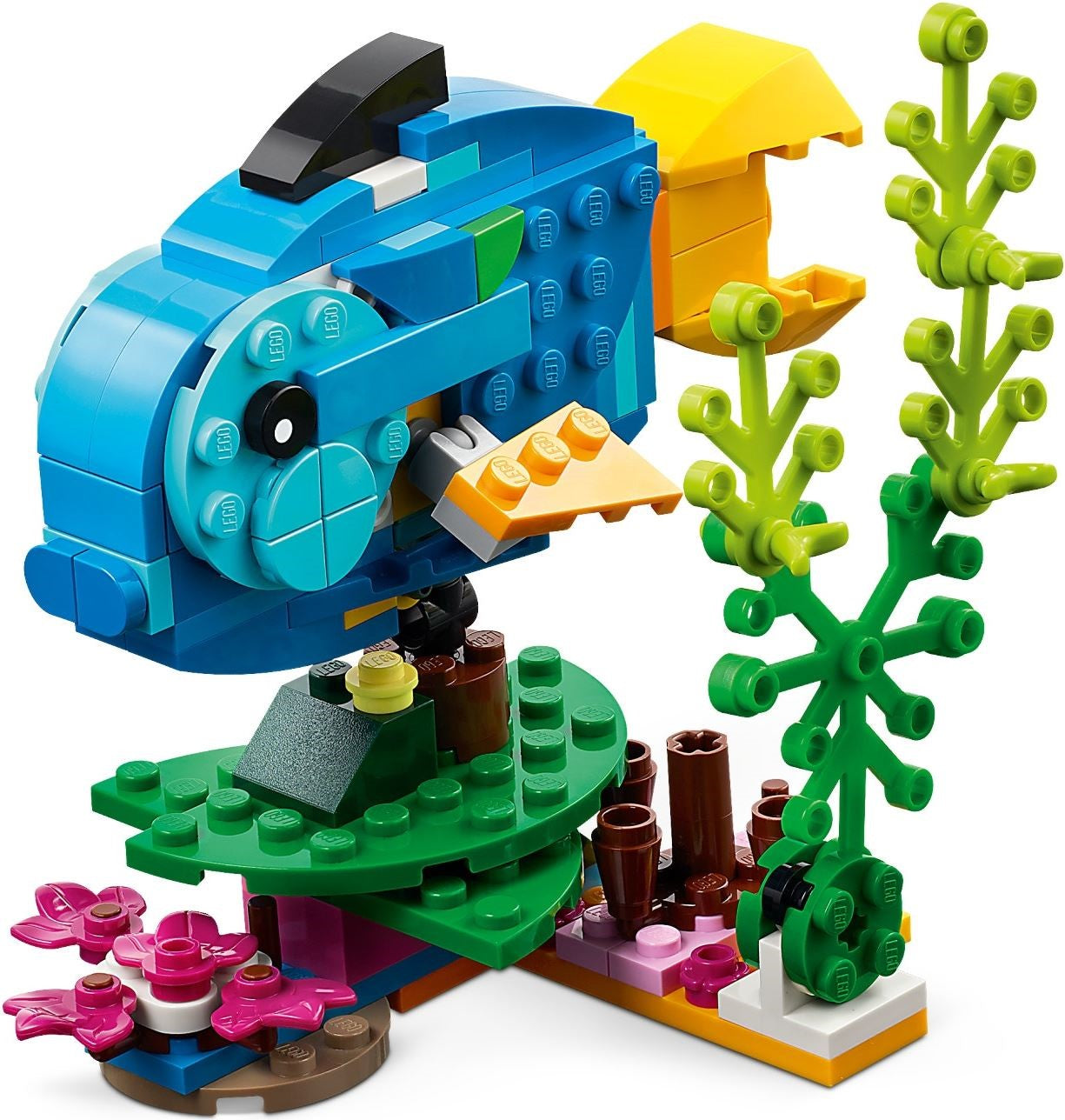 Exotic Parrot 3-in-1 - 31136