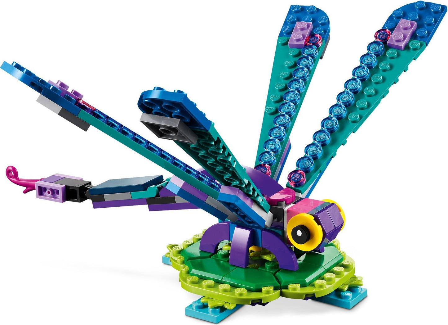 Exotic Peacock - 31157