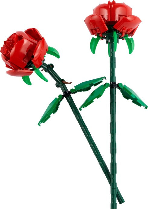 Roses - 40460