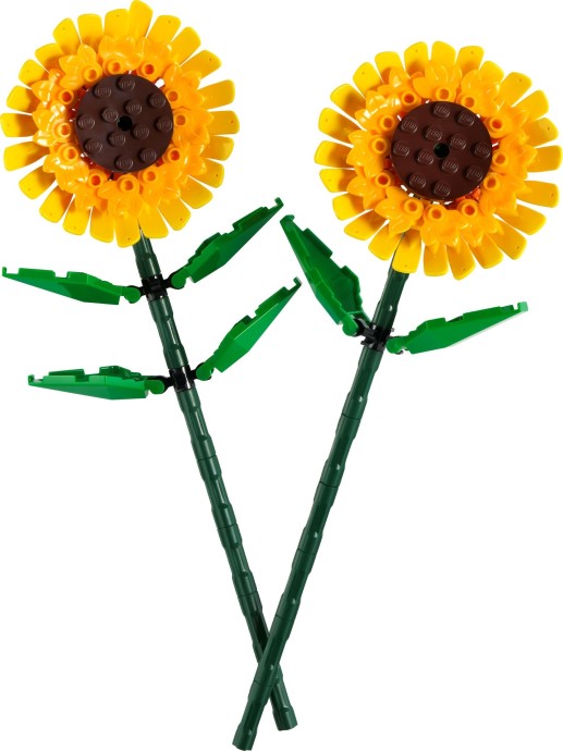 Sunflowers - 40524