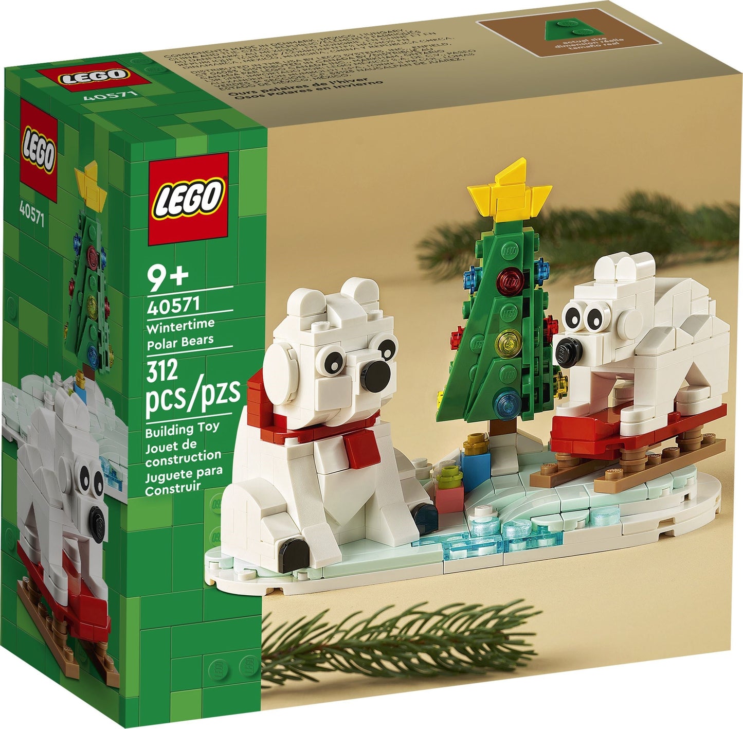 Wintertime Polar Bears - 40571