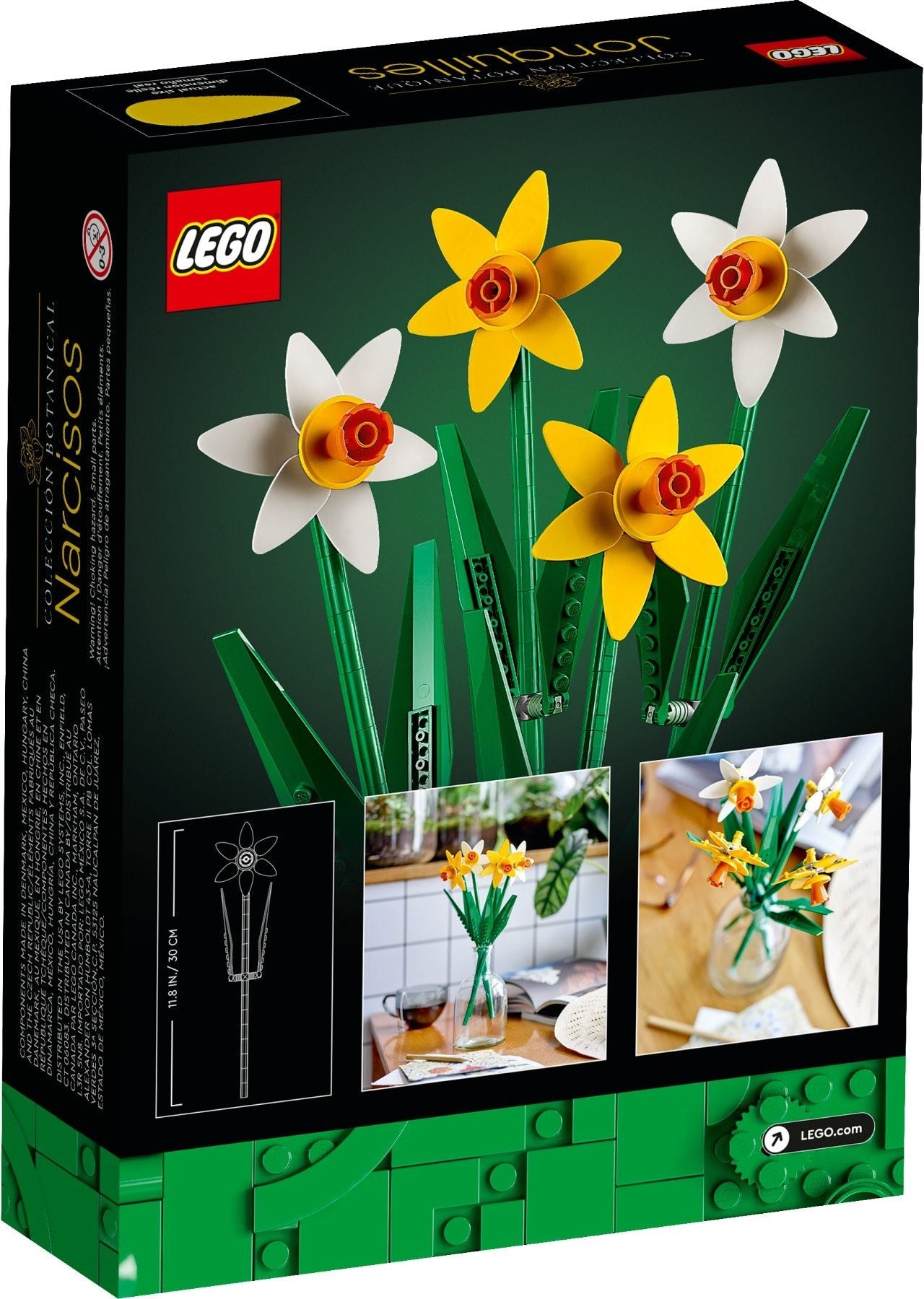 Daffodils - 40646