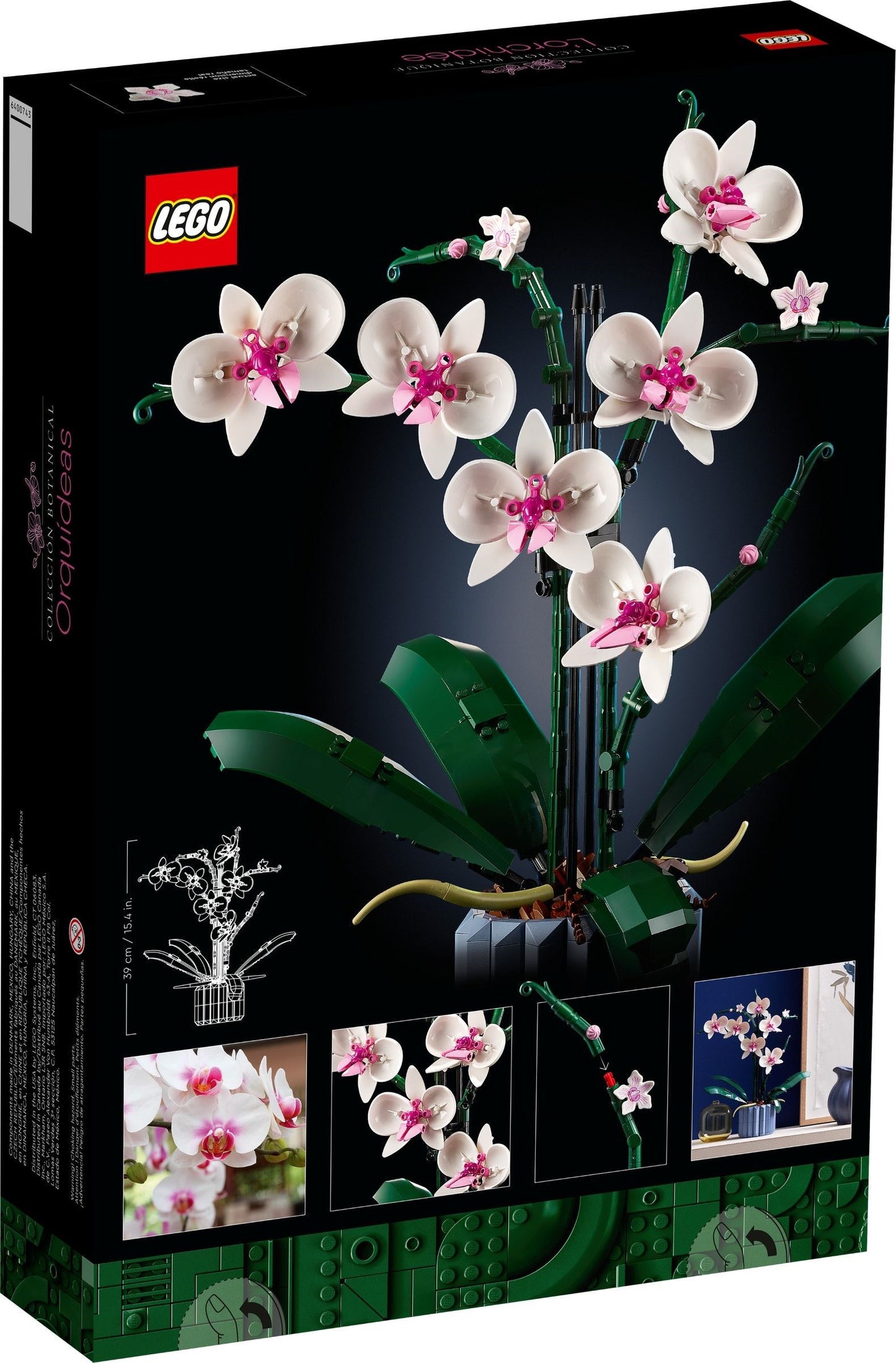 Orchid - 10311