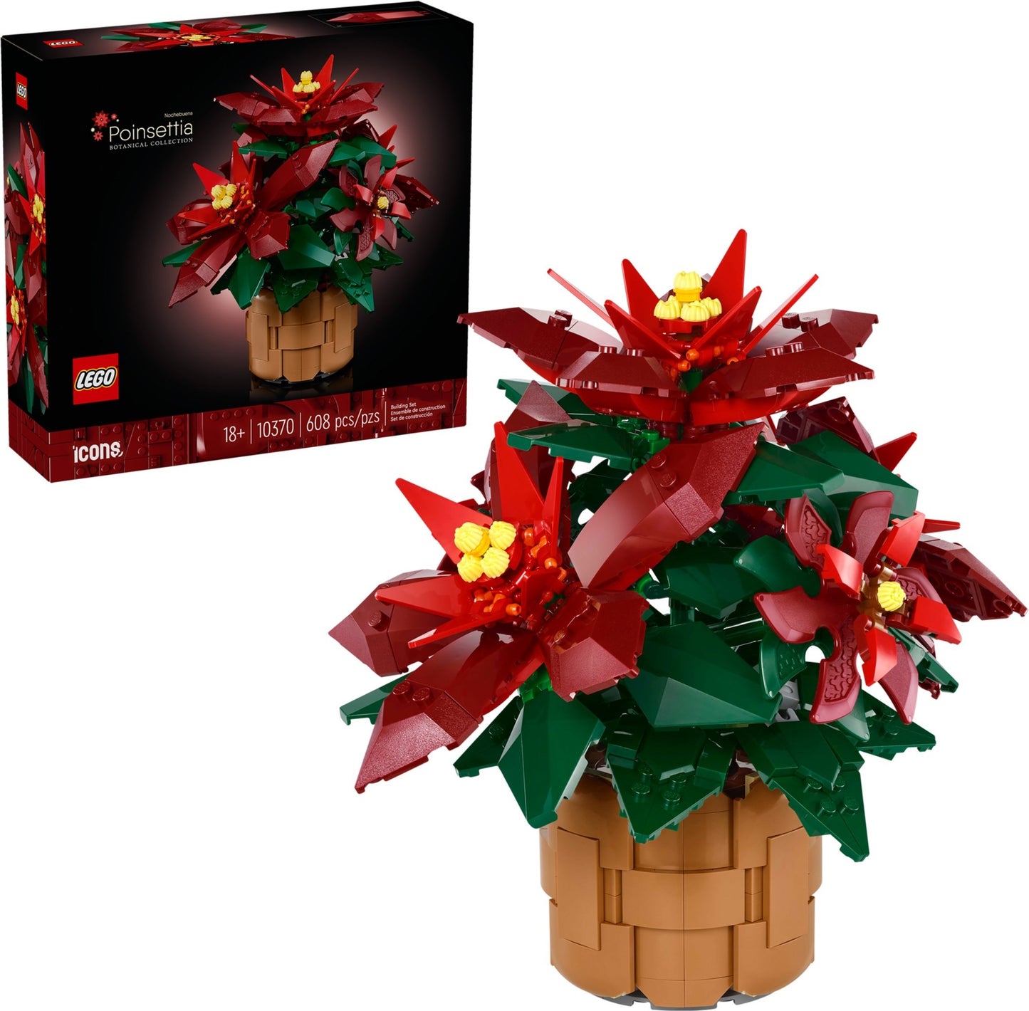 Poinsettia - 10370