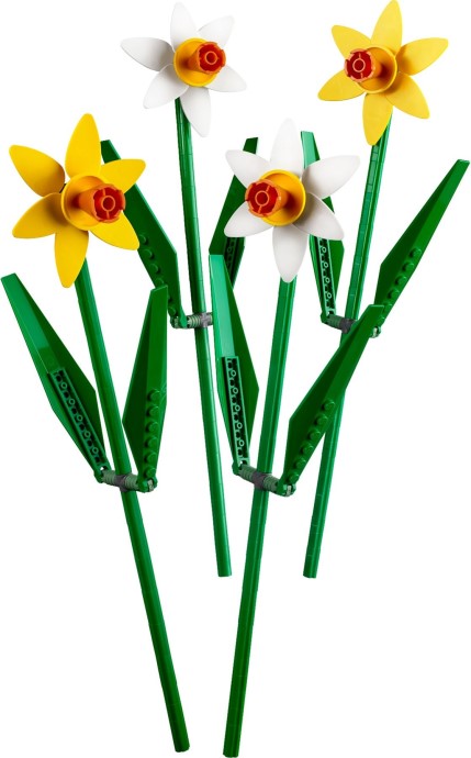 Daffodils - 40646