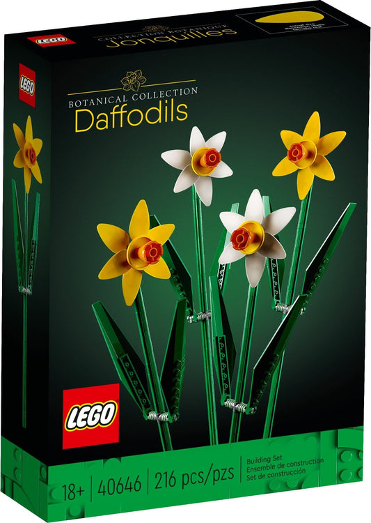 Daffodils - 40646