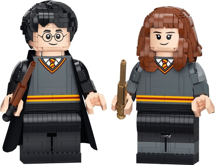 Harry Potter & Hermoine Granger - 76393